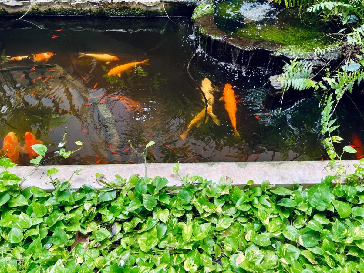 Hotel La Villa Khon Kaen Dış mekan fotoğraf
